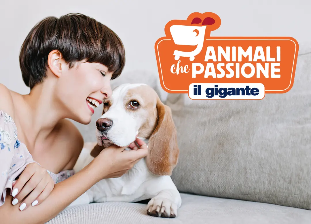 animali-che-passione