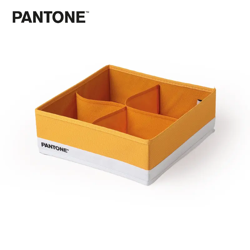 organizer-pantone-2024